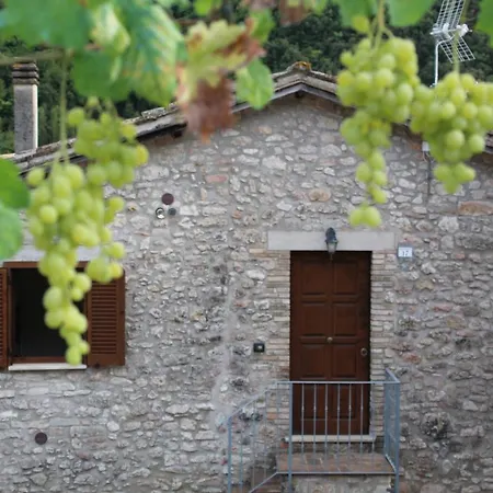 L'Oasi Di Zio Franco - Cascata Delle Marmore - Valnerina - Umbria Rosciano  Exterior photo