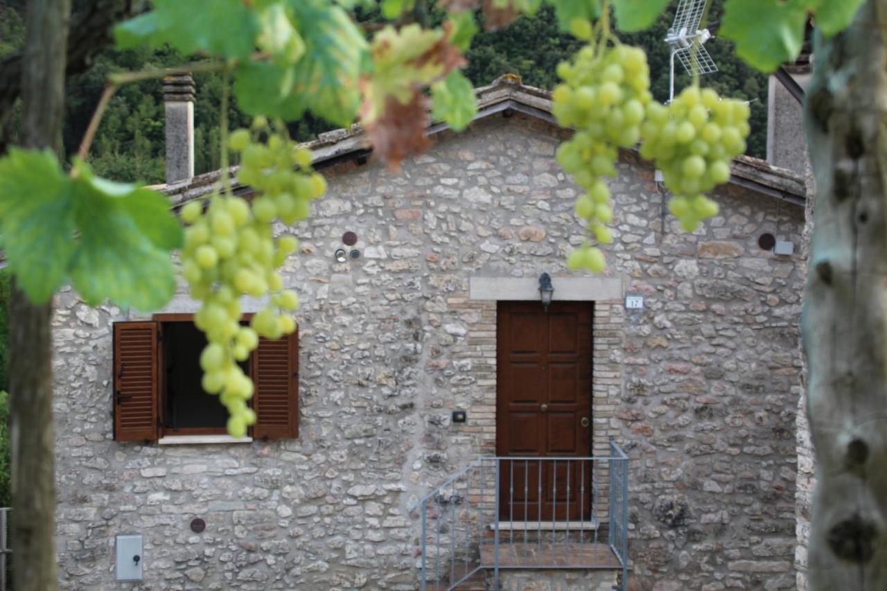 L'oasi Di Zio Franco - Cascata Delle Marmore - Valnerina - Umbria Apartment *